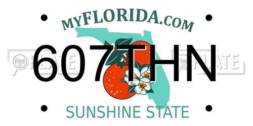 607THN Florida License Plate