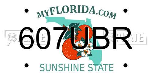 607UBR Florida License Plate