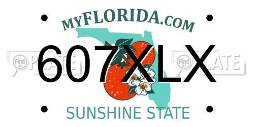 607XLX Florida License Plate