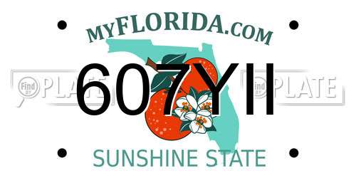 607YII Florida License Plate