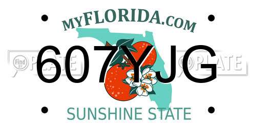 607YJG Florida License Plate