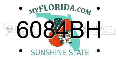 6084BH Florida License Plate