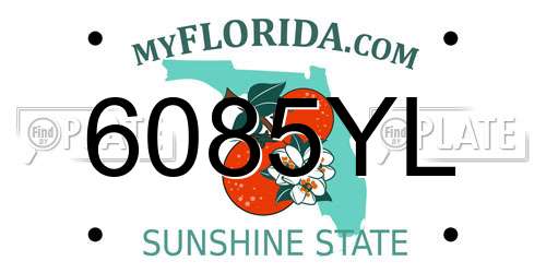 6085YL Florida License Plate