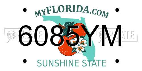 6085YM Florida License Plate