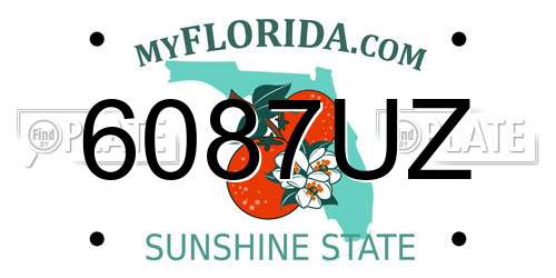 6087UZ Florida License Plate
