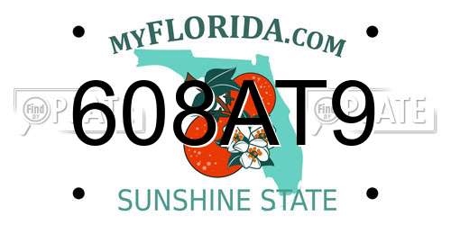 608AT9 Florida License Plate