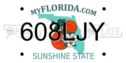 608LJY Florida License Plate