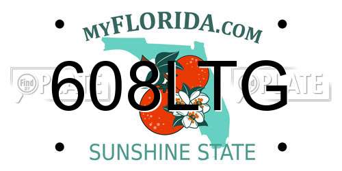 608LTG Florida License Plate