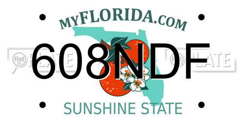 608NDF Florida License Plate