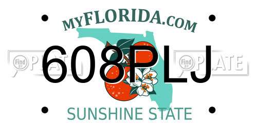 608PLJ Florida License Plate