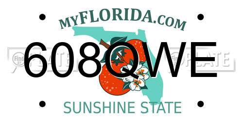 608QWE Florida License Plate