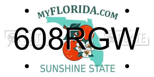 608RGW Florida License Plate