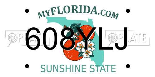 608YLJ Florida License Plate