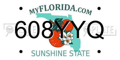608YYQ Florida License Plate
