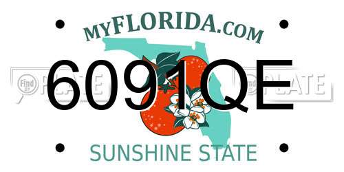 6091QE Florida License Plate