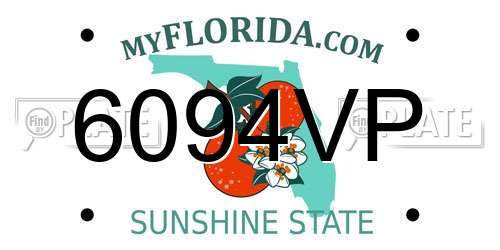 6094VP Florida License Plate