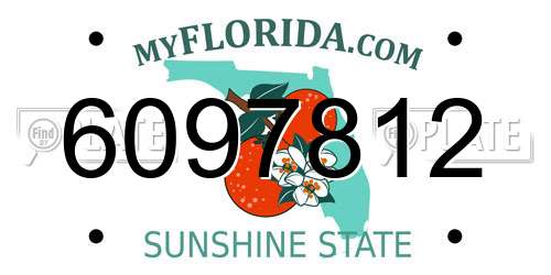 6097812 Florida License Plate