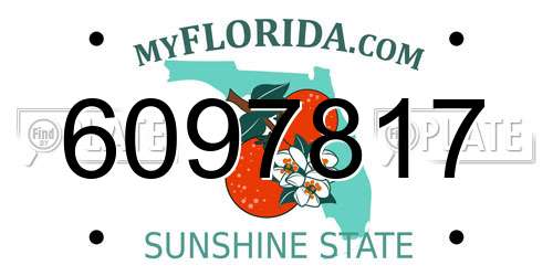 6097817 Florida License Plate