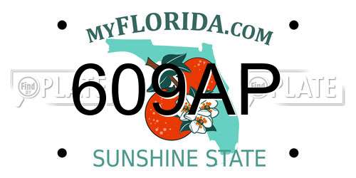 609AP Florida License Plate