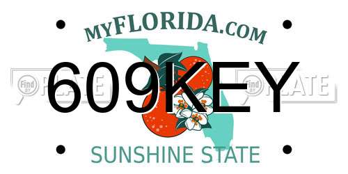 609KEY Florida License Plate