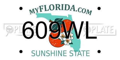 609WL Florida License Plate