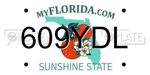 609YDL Florida License Plate