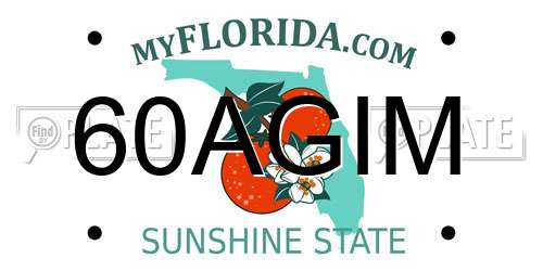 60AGIM Florida License Plate