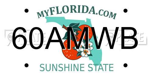 60AMWB Florida License Plate