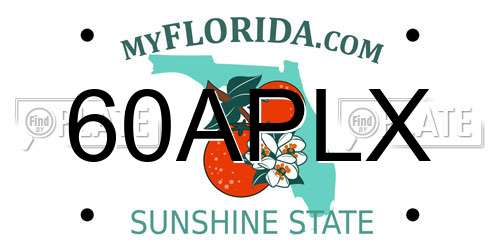 60APLX Florida License Plate