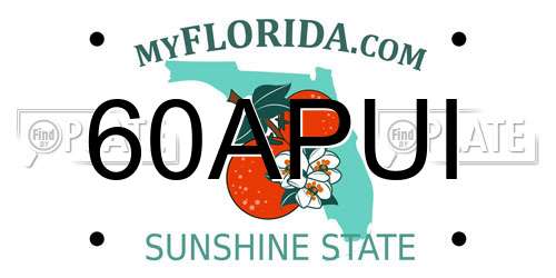 60APUI Florida License Plate