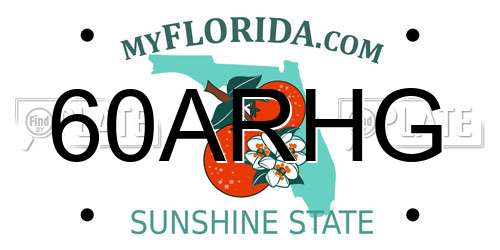 60ARHG Florida License Plate