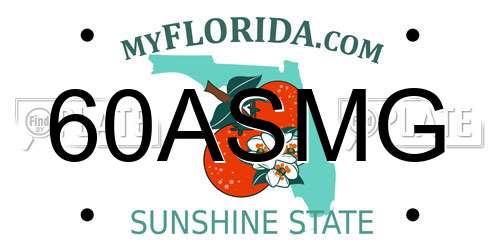 60ASMG Florida License Plate