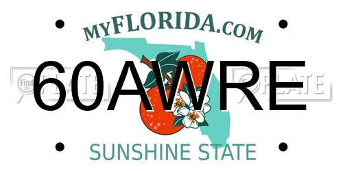 60AWRE Florida License Plate