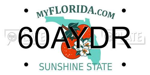 60AYDR Florida License Plate