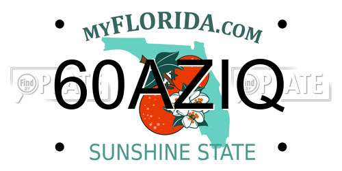60AZIQ Florida License Plate