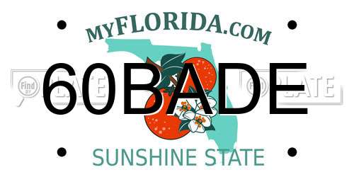 60BADE Florida License Plate
