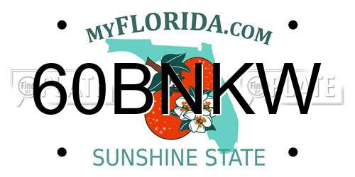 60BNKW Florida License Plate