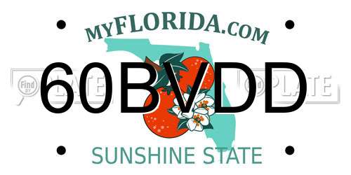 60BVDD Florida License Plate