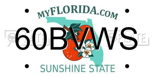 60BVWS Florida License Plate