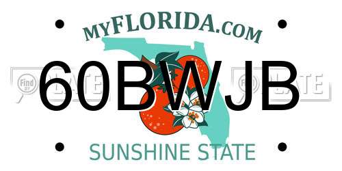 60BWJB Florida License Plate