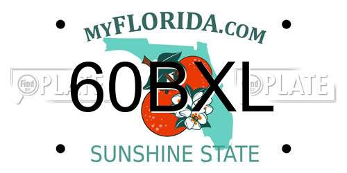60BXL Florida License Plate