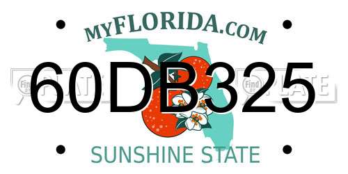 60DB325 Florida License Plate