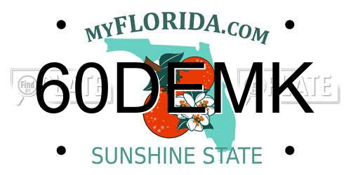 60DEMK Florida License Plate