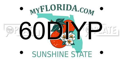 60DIYP Florida License Plate