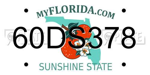 60DS378 Florida License Plate
