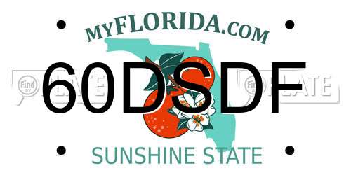 60DSDF Florida License Plate