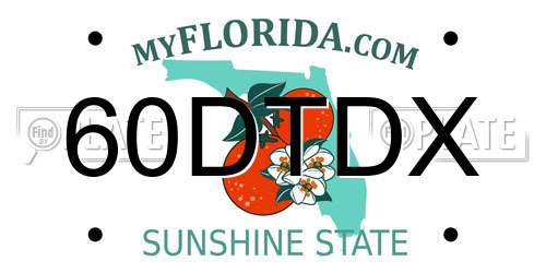 60DTDX Florida License Plate