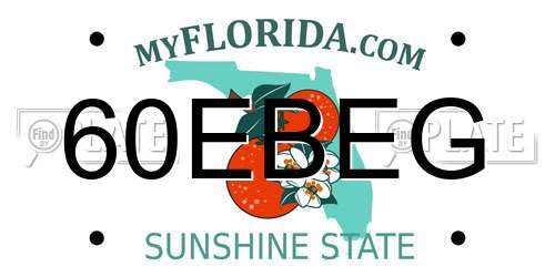 60EBEG Florida License Plate