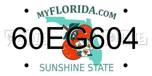 60EG604 Florida License Plate