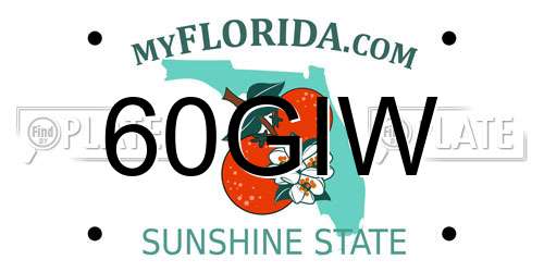 60GIW Florida License Plate